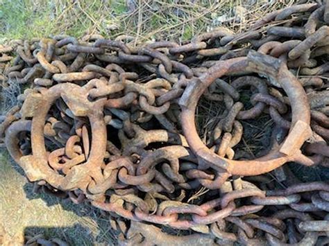 used skidder chains